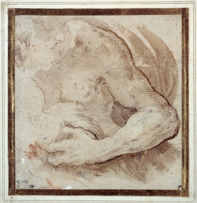 Egy szakállas férfi bal karjának, mellkasának és fejének tanulmányozása (toll és barna tinta vörös krétával krémpapíron) alkotó: Parmigianino