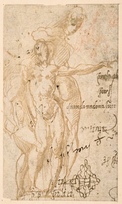 Három meztelen figura tanulmányozása (recto) alkotó: Parmigianino