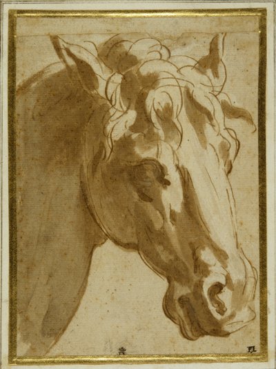 A ló feje és nyaka (toll és barna tinta krémpapíron mosással) alkotó: Parmigianino