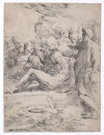 Síremlék balra néz, 1529-1530., 1529-1530. alkotó: Parmigianino