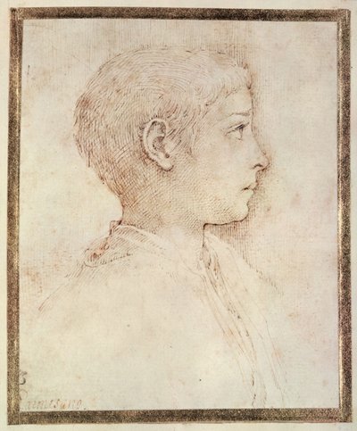 Egy fiú feje alkotó: Parmigianino
