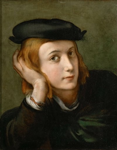 Egy fiú portréja, 1524 körül. alkotó: Parmigianino