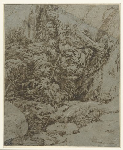Egy táj tanulmányozása alkotó: Parmigianino