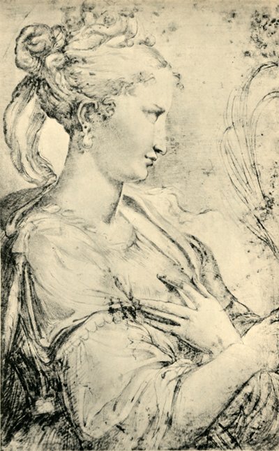 Szent Katalin tanulmánya, 1530-1540, 1943. alkotó: Parmigianino
