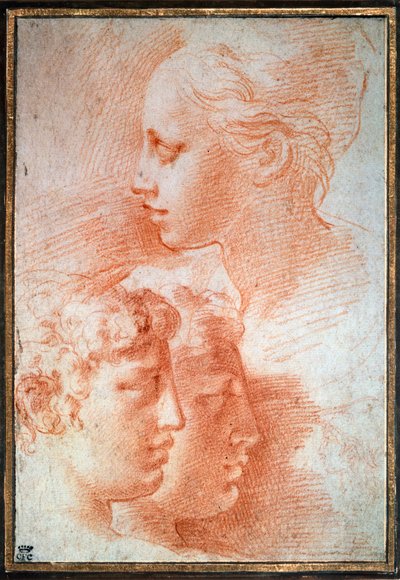 Tanulmány a fejekről, c1527 alkotó: Parmigianino