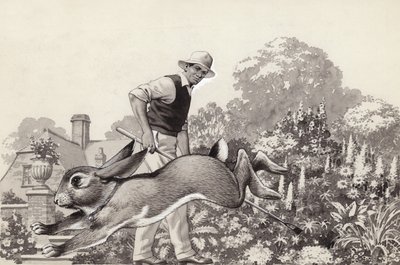 Ein Kaninchen läuft mit einem Katzenhalsband im Garten herum von Pat (1907-95) Nicolle