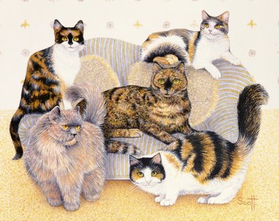 Tortoiseshell hölgyek alkotó: Pat Scott