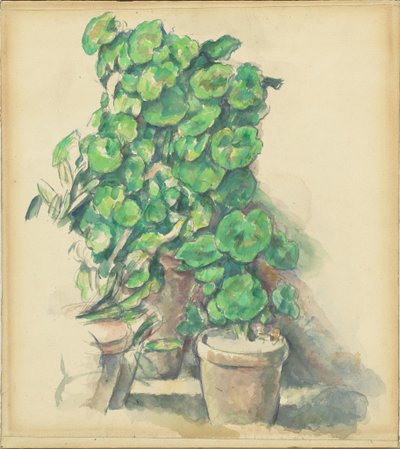 Muskátlik alkotó: Paul Cézanne
