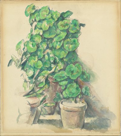 Muskátlik alkotó: Paul Cézanne