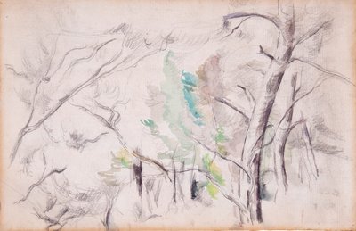 Fák [recto]; Encagnane a Pilon du Roi-val [vissza] alkotó: Paul Cézanne