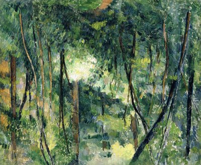 Aljnövényzet, 1885 körül alkotó: Paul Cézanne
