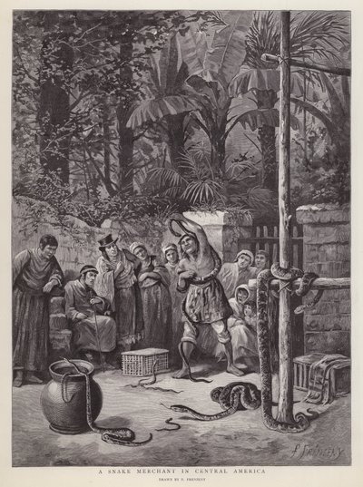 Kígyókereskedő Közép-Amerikában (litho) alkotó: Paul Frenzeny