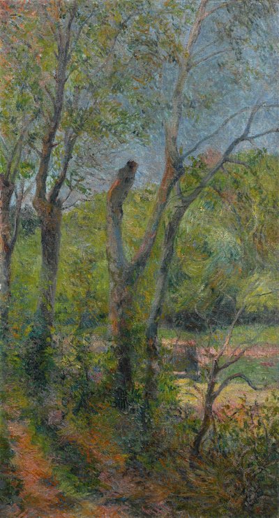 Franciául:  Les Saules Willows alkotó: Paul Gauguin