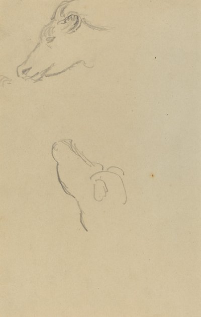 Egy tehén feje [recto] alkotó: Paul Gauguin