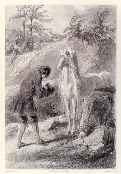 A ló megállt, és rám meredt, a Gullivers Travels francia kiadásából, Jonathan Swifttől alkotó: Paul Gavarni