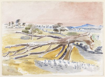 Szörnymező, Tanulmány II alkotó: Paul Nash