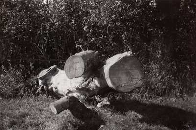 Objektum keresése alkotó: Paul Nash