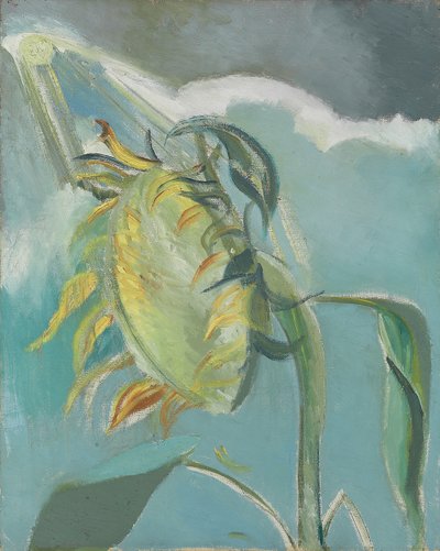 Napraforgó és Nap, c. 1945 (olaj, vászon) alkotó: Paul Nash