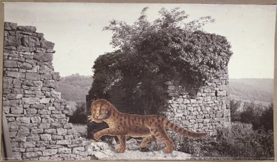 Tigris, tigris, 1938 körül (kollázs) alkotó: Paul Nash