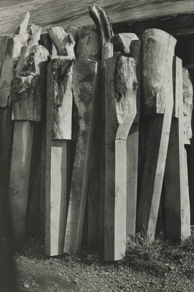 Totemek, Régi Hajógyár, Rozs alkotó: Paul Nash