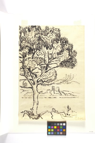 Antibes, esernyőfenyő az előtérben (Antibes, Pin Pignon Au Premier Plan) (fekete tus rajz fekete ceruzával barna szőtt papíron) alkotó: Paul Signac