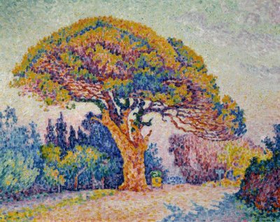 Signac, Fenyő Bertaud-tól alkotó: Paul Signac