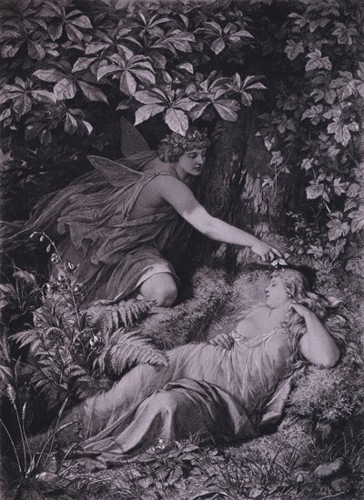 Jelenet Shakespeare Szentivánéji álom című művéből (IV. felvonás, 1. jelenet) (litó) alkotó: Friedrich Paul Thumann