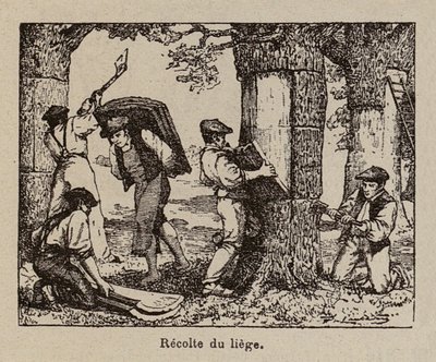  alkotó: Paul de Laubadere