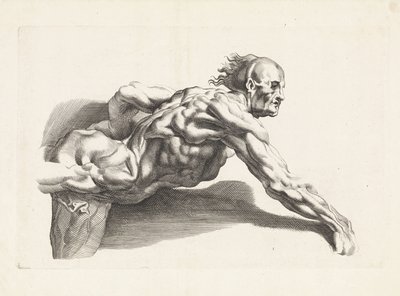 A hajlott ember anatómiai vizsgálata Peter Paul Rubens rajzkönyve (sorozat címe) alkotó: Paulus Pontius