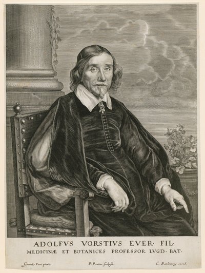 Adolph Vorst, leideni professzor portréja alkotó: Paulus Pontius