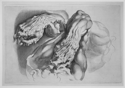 Három tanulmány Écorchésről, 1640 után, 1640 után. alkotó: Paulus Pontius