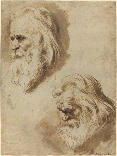Két tanulmány egy idős férfi fejéről alkotó: Paulus Pontius after Sir Peter Paul Rubens
