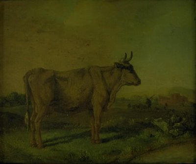 Egy tehén alkotó: Paulus Potter