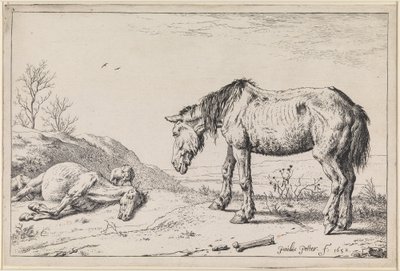 Elcsigázott lovak alkotó: Paulus Potter