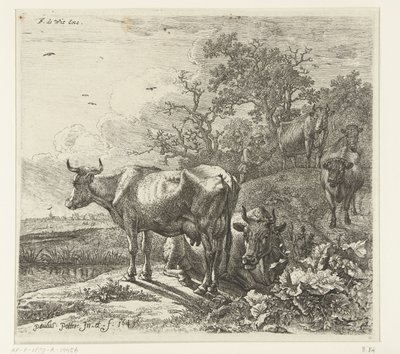a pásztor alkotó: Paulus Potter