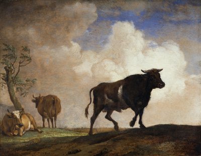 A bika alkotó: Paulus Potter