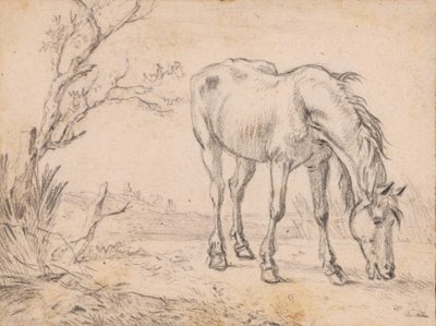 Legelésző ló alkotó: Paulus Potter