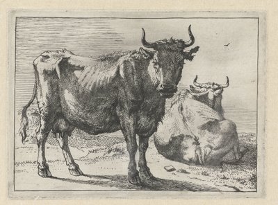 Egy álló és egy fekvő tehén The Bullen füzet (sorozat címe) alkotó: Paulus Potter