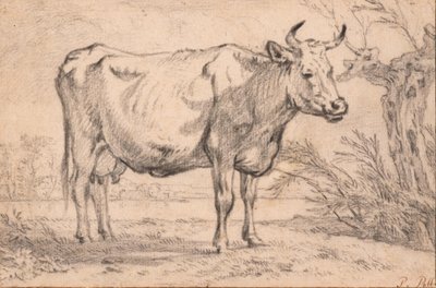 Álló tehén alkotó: Paulus Potter