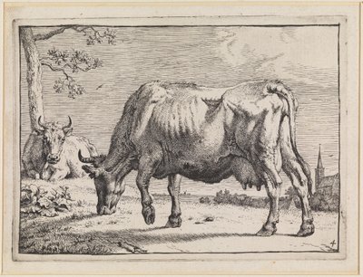 Legelésző tehén alkotó: Paulus Potter