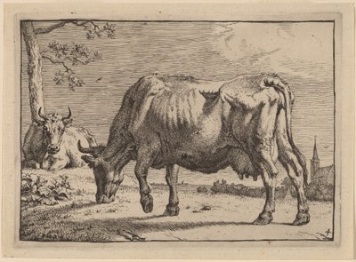 Legelő tehén alkotó: Paulus Potter