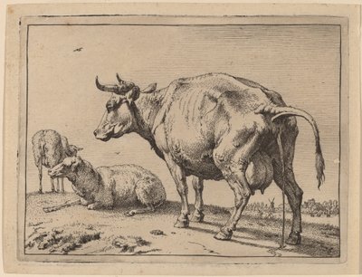 Pissing Tehén alkotó: Paulus Potter