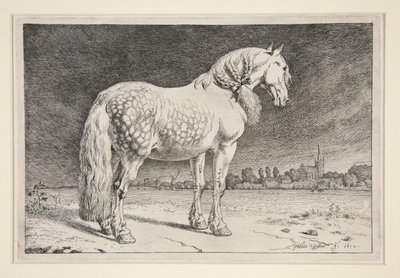A frízlandi ló alkotó: Paulus Potter