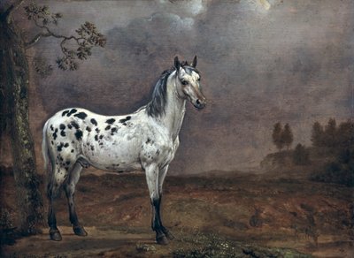 A Piebald ló alkotó: Paulus Potter