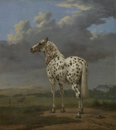 The "Piebald" Horse, c.1650-4 (oil on canvas) alkotó: Paulus Potter
