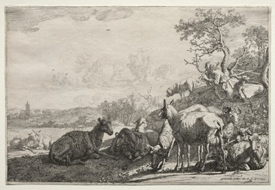 A Juhász alkotó: Paulus Potter