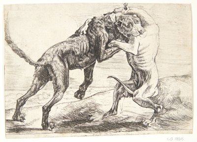 Két kutya harcol alkotó: Paulus van Hillegaert (II)