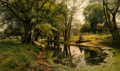 Álló víz az erdőben alkotó: Peder Monsted