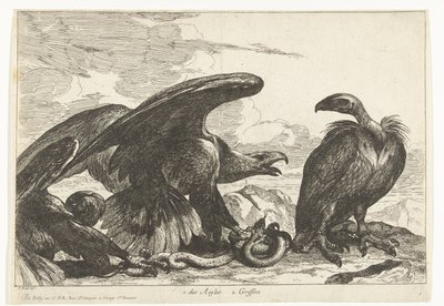 Keselyű és egy sas kígyóval 1. des Aigles 2. Griff (cím az objektumon) Madarak a Versailles-i menazsériából (sorozat címe) alkotó: Peeter Boel (attributed to)