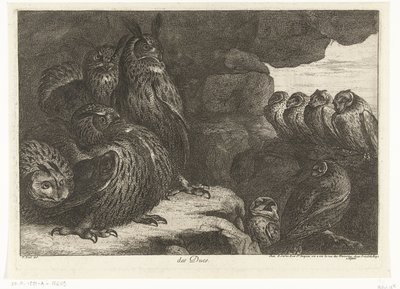 Baglyok egy barlangban des Ducs (cím az objektumon) Madarak a Versailles-i menazsériából (sorozat címe) alkotó: Peeter Boel (attributed to)